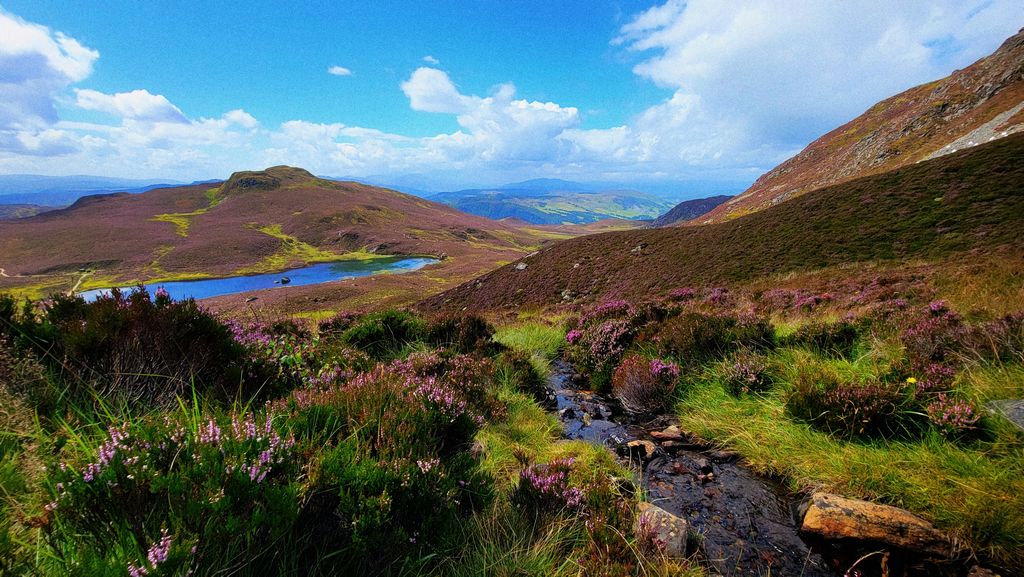 From halfway up Ben Vrackie